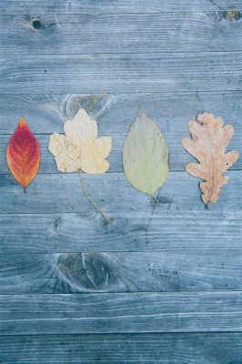  Honouring the Seasons: Exploring Nature's Rhythms Through Gardening, Bir Yılın Renk Paleti ve Ruhunu Yakalayan Zarafetli Bir Bahçe Yolculuğu