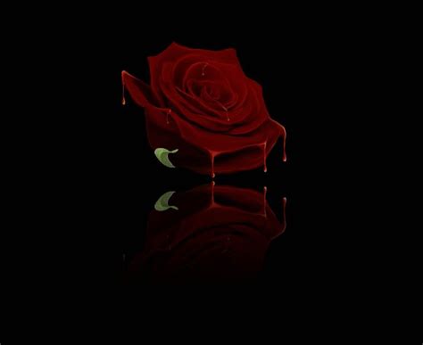  The Bleeding Rose: A Symphony of Suspense and Intricate Secrets