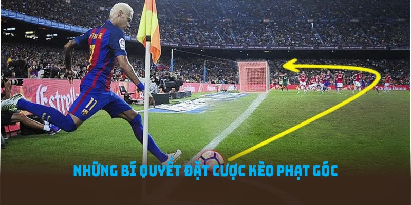 bí quyết giúp bạn giành chiến thắng